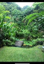 Greenbank Park (D21), Detached #507323561